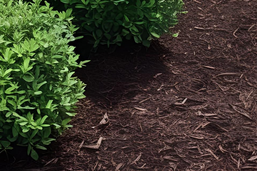 Mulch