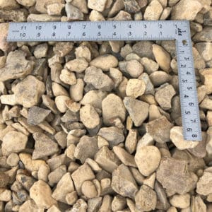 Kansas-1.5