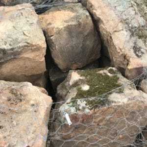 Mossy-Mountain-Boulders