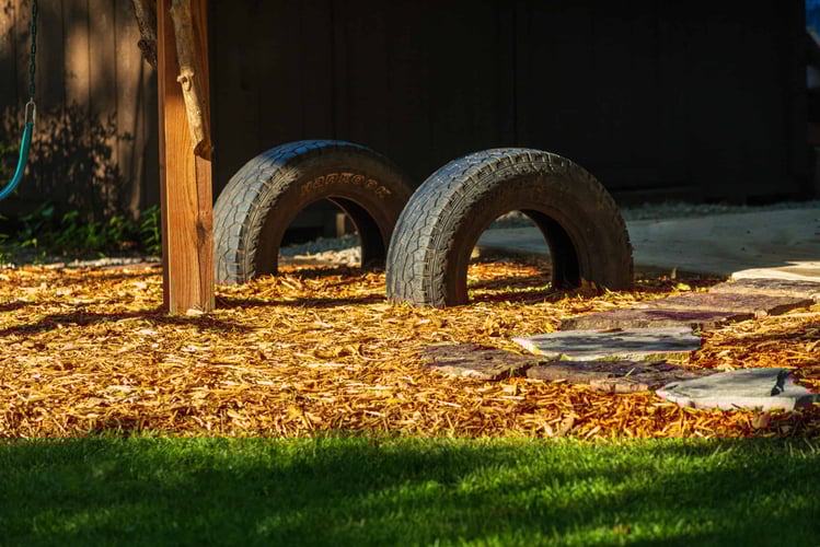 PIne-Landscape-Trae-09-scaled