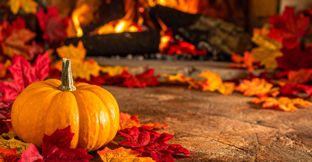 PLC Nov 2025 Campaign (1000 x 520 px) (3)