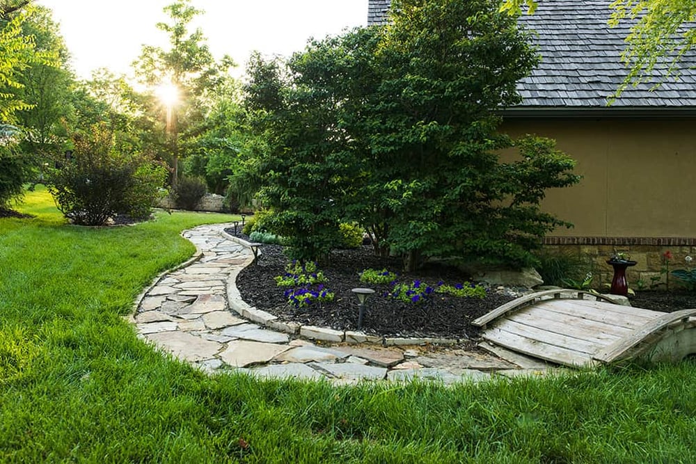 Pine-Landscape-client-08
